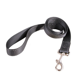 3m/5m Durable Dog Leash Automatic Retractable Nylon Lead