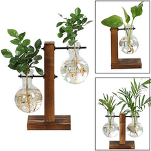 Load image into Gallery viewer, Terrarium Hydroponic Plant Vases