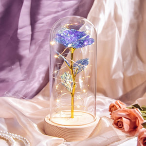 Beauty and The Beast Preserved Roses In Glass Galaxy Rose Flower LED Light Artificial Flowers Christmas Valentine Gift for Girls