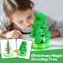 Load image into Gallery viewer, Magic Growing Crystal Christmas Tree