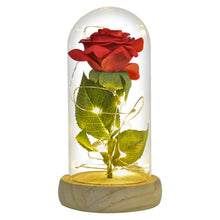 Load image into Gallery viewer, Beauty and The Beast Preserved Roses In Glass Galaxy Rose Flower LED Light Artificial Flowers Christmas Valentine Gift for Girls