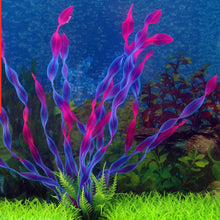 Load image into Gallery viewer, Live Aquarium Plants - Aquatic Plants - Underwater Plants