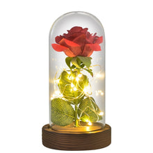 Load image into Gallery viewer, Beauty and The Beast Preserved Roses In Glass Galaxy Rose Flower LED Light Artificial Flowers Christmas Valentine Gift for Girls