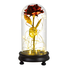 Load image into Gallery viewer, Beauty and The Beast Preserved Roses In Glass Galaxy Rose Flower LED Light Artificial Flowers Christmas Valentine Gift for Girls