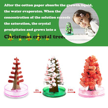 Load image into Gallery viewer, Magic Growing Crystal Christmas Tree