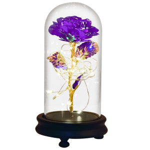 Beauty and The Beast Preserved Roses In Glass Galaxy Rose Flower LED Light Artificial Flowers Christmas Valentine Gift for Girls