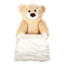 Load image into Gallery viewer, Peek a Boo Plush Teddybear