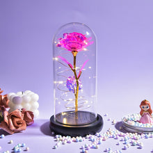 Load image into Gallery viewer, Beauty and The Beast Preserved Roses In Glass Galaxy Rose Flower LED Light Artificial Flowers Christmas Valentine Gift for Girls