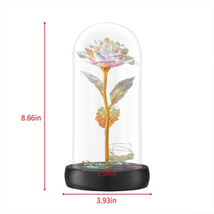 Beauty and The Beast Preserved Roses In Glass Galaxy Rose Flower LED Light Artificial Flowers Christmas Valentine Gift for Girls