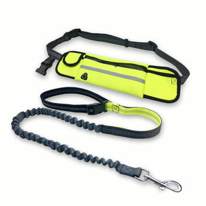 Handsfree Bungee Dog Leash with Pocket Reflective Adjustable Waist Belt