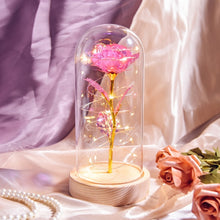 Load image into Gallery viewer, Beauty and The Beast Preserved Roses In Glass Galaxy Rose Flower LED Light Artificial Flowers Christmas Valentine Gift for Girls