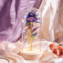 Load image into Gallery viewer, Beauty and The Beast Preserved Roses In Glass Galaxy Rose Flower LED Light Artificial Flowers Christmas Valentine Gift for Girls