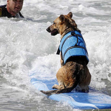 Load image into Gallery viewer, Dog Life Vest