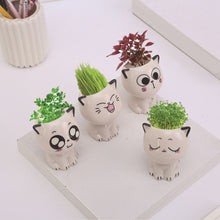 Load image into Gallery viewer, Mini Cat Shaped Cartoon Ceramic Flowerpot