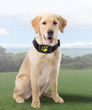 Load image into Gallery viewer, GPS Dog Collar