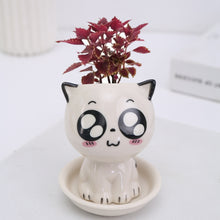 Load image into Gallery viewer, Mini Cat Shaped Cartoon Ceramic Flowerpot