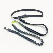 Load image into Gallery viewer, Handsfree Bungee Dog Leash with Pocket Reflective Adjustable Waist Belt