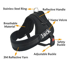 Load image into Gallery viewer, Dog Harness Leash Padded