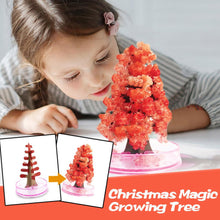 Load image into Gallery viewer, Magic Growing Crystal Christmas Tree