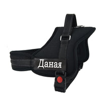 Load image into Gallery viewer, Dog Harness Leash Padded