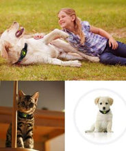 Load image into Gallery viewer, GPS Dog Collar