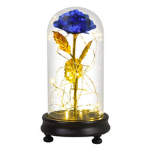 Load image into Gallery viewer, Beauty and The Beast Preserved Roses In Glass Galaxy Rose Flower LED Light Artificial Flowers Christmas Valentine Gift for Girls