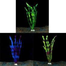 Load image into Gallery viewer, Live Aquarium Plants - Aquatic Plants - Underwater Plants