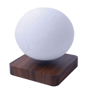 3D Magnetic Levitation Moon Lamp