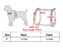 Load image into Gallery viewer, Nylon Cat Harness And Leash Set Pet Products For Animals Adjustable