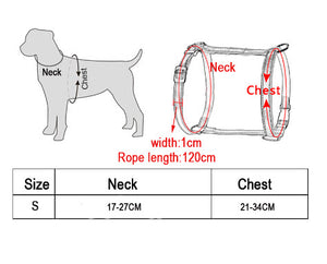 Nylon Cat Harness And Leash Set Pet Products For Animals Adjustable