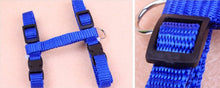 Load image into Gallery viewer, Nylon Cat Harness And Leash Set Pet Products For Animals Adjustable