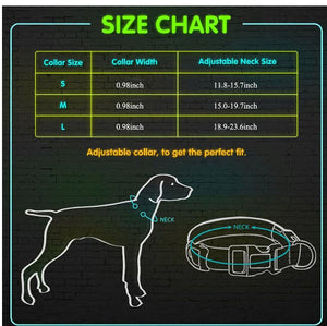 LED Dog Collar Flashing In Dark 3 Mode Lighting Safety