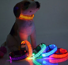 Load image into Gallery viewer, LED Dog Collar Flashing In Dark 3 Mode Lighting Safety