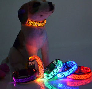 LED Dog Collar Flashing In Dark 3 Mode Lighting Safety