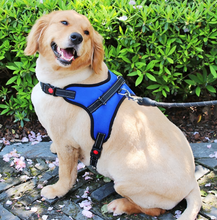 Load image into Gallery viewer, Dog Reflective Harness Adjustable Nylon K9 Collar Leash