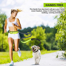 Load image into Gallery viewer, Handsfree Bungee Dog Leash with Pocket Reflective Adjustable Waist Belt