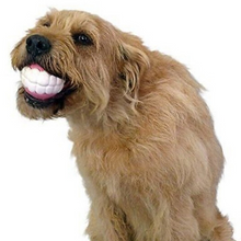 Load image into Gallery viewer, Pet Ball Teeth Silicon Chew Toys for Large Breeds