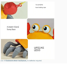 Load image into Gallery viewer, Bath Toys Walking Crab