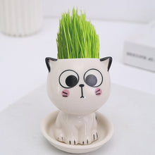 Load image into Gallery viewer, Mini Cat Shaped Cartoon Ceramic Flowerpot