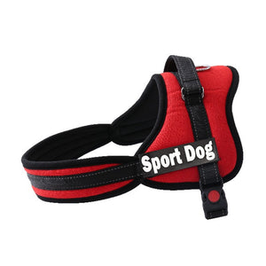 Dog Harness Leash Padded