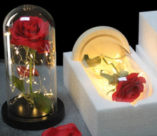 Load image into Gallery viewer, Beauty And Beast Rose In Flask Led Rose Flower Light