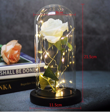 Load image into Gallery viewer, Beauty And Beast Rose In Flask Led Rose Flower Light