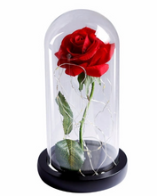 Load image into Gallery viewer, Beauty And Beast Rose In Flask Led Rose Flower Light