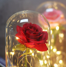 Load image into Gallery viewer, Beauty And Beast Rose In Flask Led Rose Flower Light