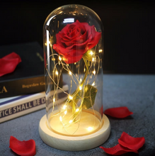 Load image into Gallery viewer, Beauty And Beast Rose In Flask Led Rose Flower Light