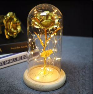 Beauty And Beast Rose In Flask Led Rose Flower Light