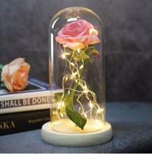 Load image into Gallery viewer, Beauty And Beast Rose In Flask Led Rose Flower Light