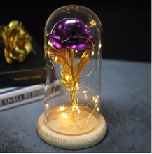 Load image into Gallery viewer, Beauty And Beast Rose In Flask Led Rose Flower Light