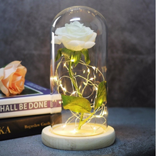 Load image into Gallery viewer, Beauty And Beast Rose In Flask Led Rose Flower Light