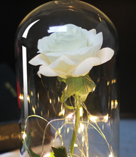 Load image into Gallery viewer, Beauty And Beast Rose In Flask Led Rose Flower Light